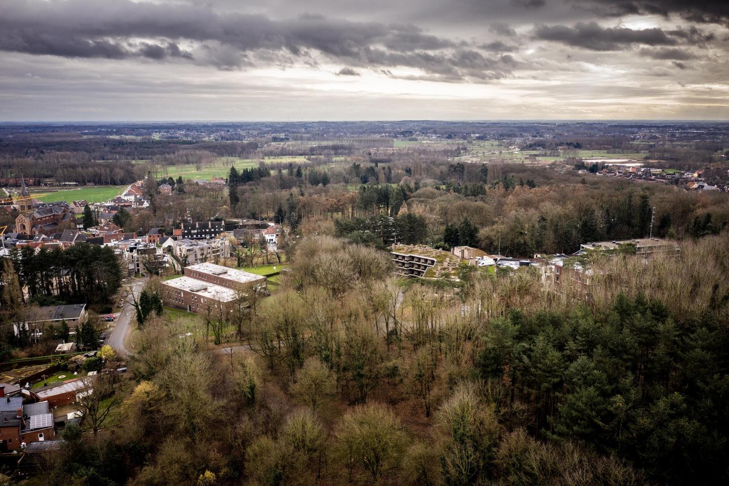 Lummen krijgt uniek revalidatiecentrum, petitie tegen kappen bos