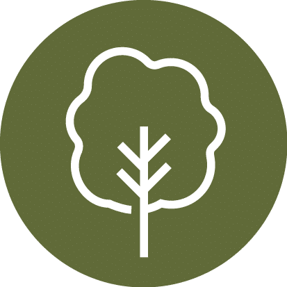 Toegankelijke en groene omgeving